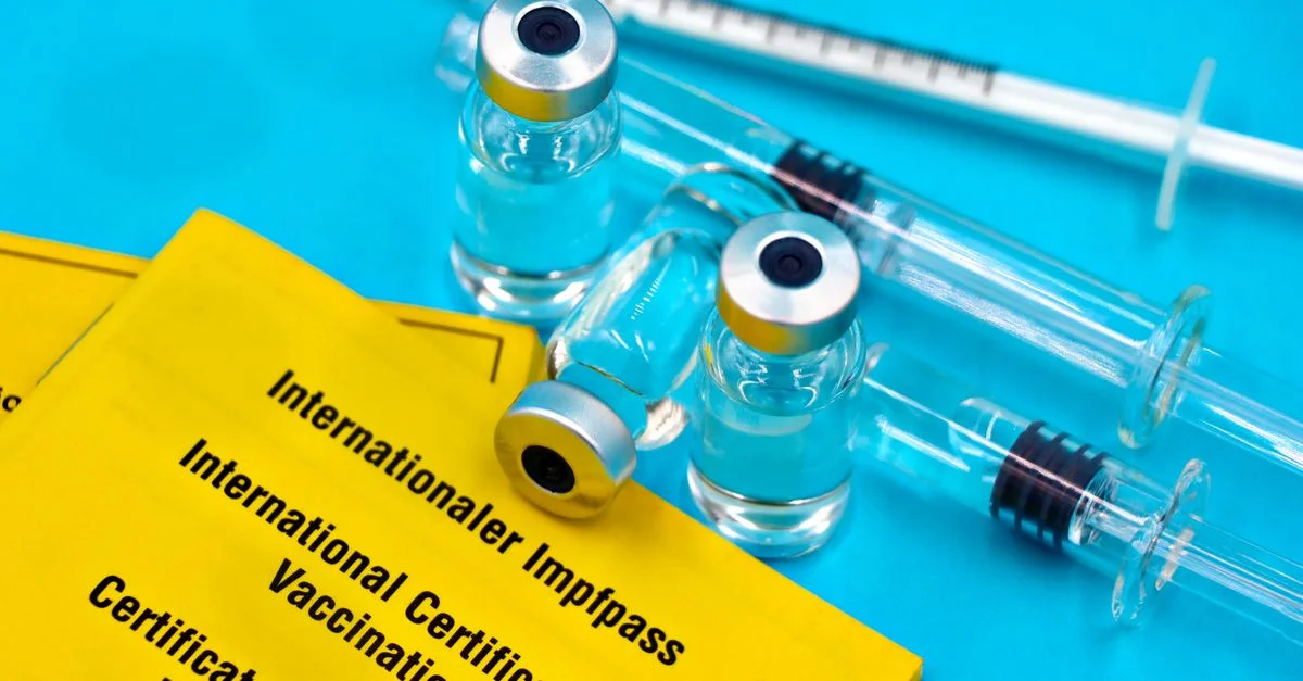 Gros plan sur des flacons de vaccin, des seringues et des certificats internationaux de vaccination sur une surface bleue.
